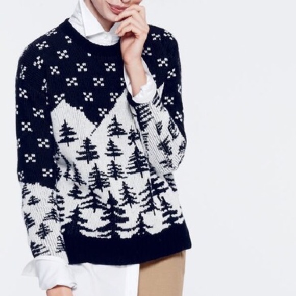 J. Crew Sweaters - J. Crew Wool Cabin Sweater sz S